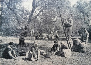 Tallers +TRAD P’25 I  “Del Folklore Tortosí\" Cantar, toca i ballar