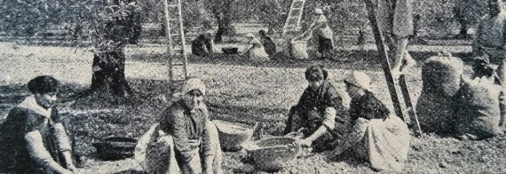 Tallers +TRAD P’25 I  “Del Folklore Tortosí Cantar, toca i ballar