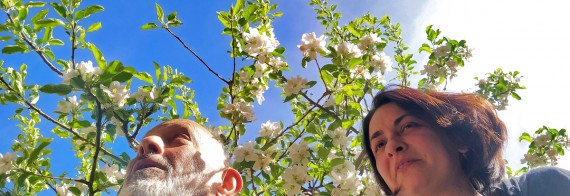 Clavellina d'Aire I Arran d'escenari I CAT Tradicionàrius