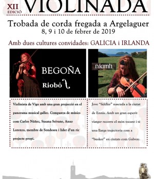 Cartell violinada 2019