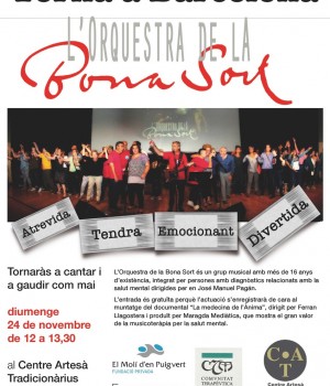 Cartell OBS Nov19 versio? 2