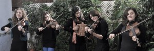 Violines violiles