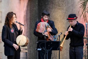 Monogràfic d’instruments d’inxa del Pirineu I TRÀD 39